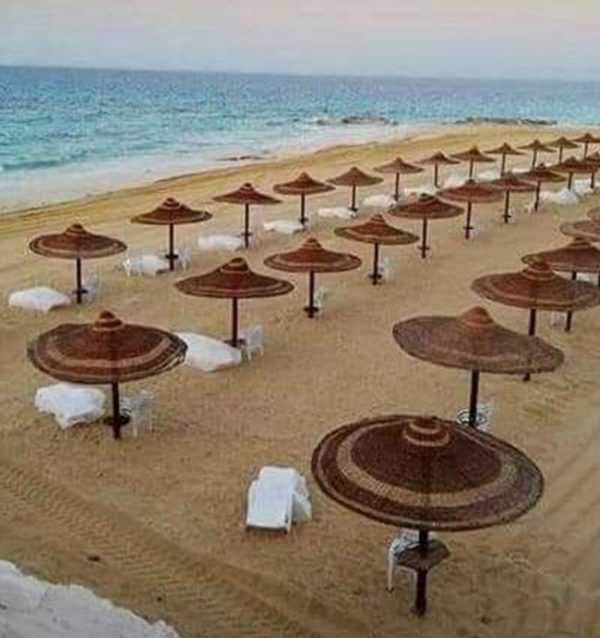 catalog-wendings-and-umbrellas-تمر-حنة_44