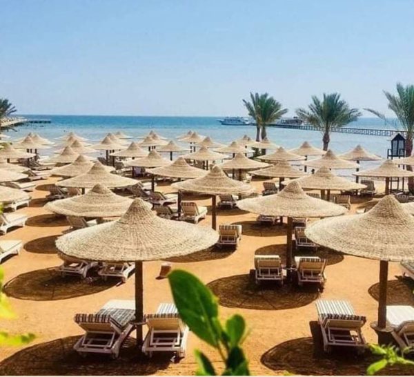 catalog-wendings-and-umbrellas-تمر-حنة_55