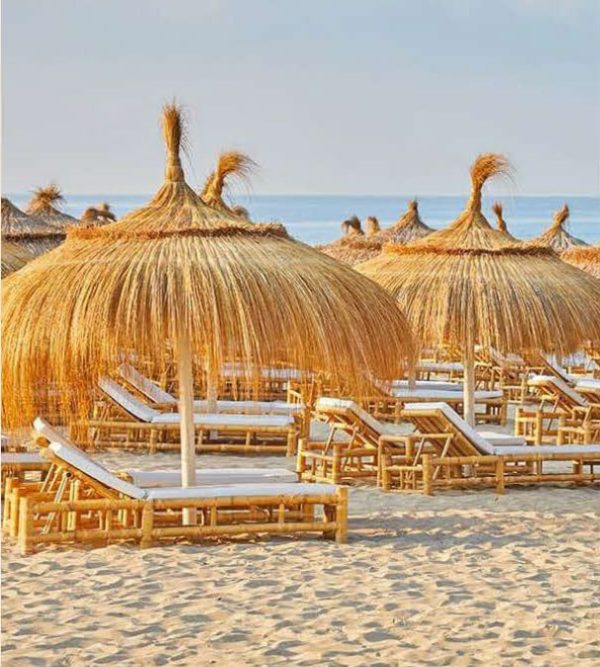 catalog-wendings-and-umbrellas-حلفا_10