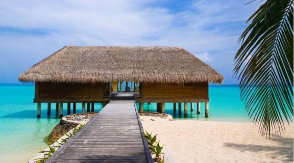 catalog-wendings-and-umbrellas-حلفا_102