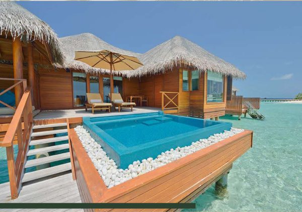 catalog-wendings-and-umbrellas-حلفا_116