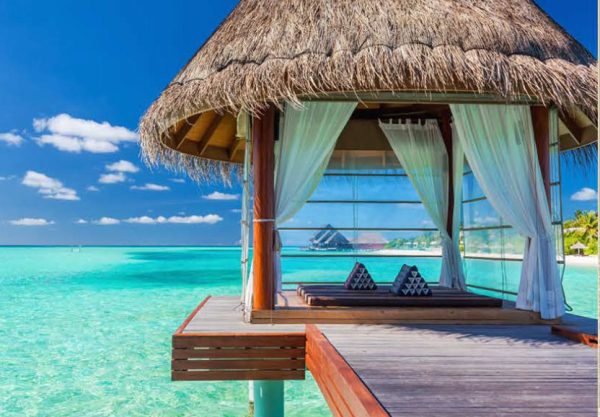 catalog-wendings-and-umbrellas-حلفا_120