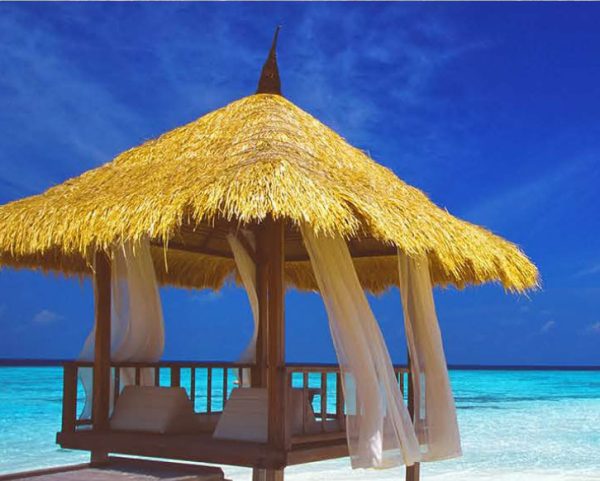 catalog-wendings-and-umbrellas-حلفا_15