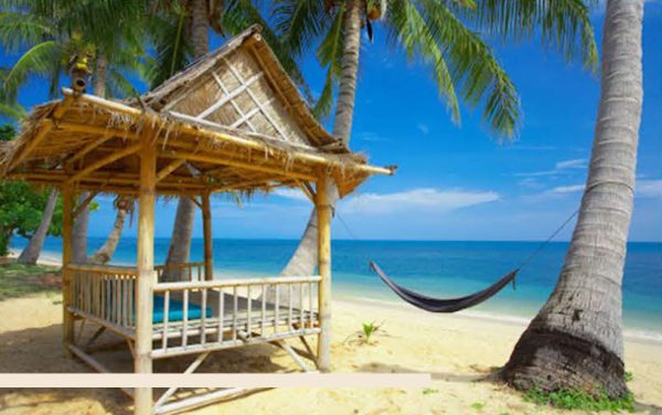 catalog-wendings-and-umbrellas-حلفا_159