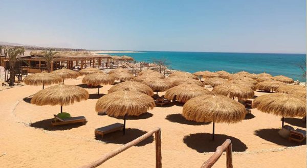 catalog-wendings-and-umbrellas-حلفا_163