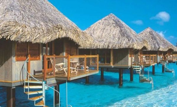 catalog-wendings-and-umbrellas-حلفا_35