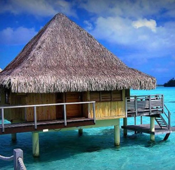 catalog-wendings-and-umbrellas-حلفا_43