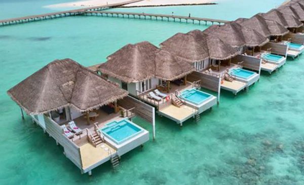 catalog-wendings-and-umbrellas-حلفا_47