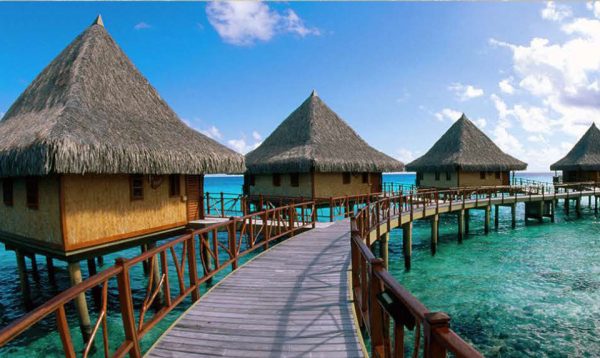 catalog-wendings-and-umbrellas-حلفا_59