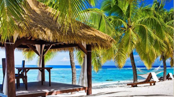 catalog-wendings-and-umbrellas-حلفا_63