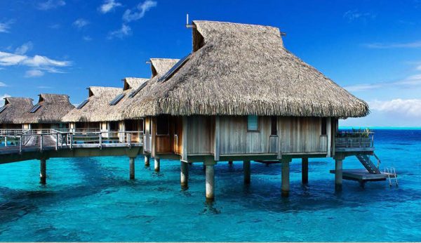 catalog-wendings-and-umbrellas-حلفا_94