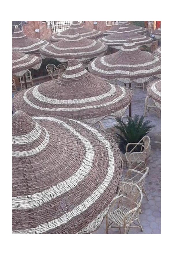 تصميمات_خارجيه_شواطئ_ومنازل_من_التمر_حنه-page-001