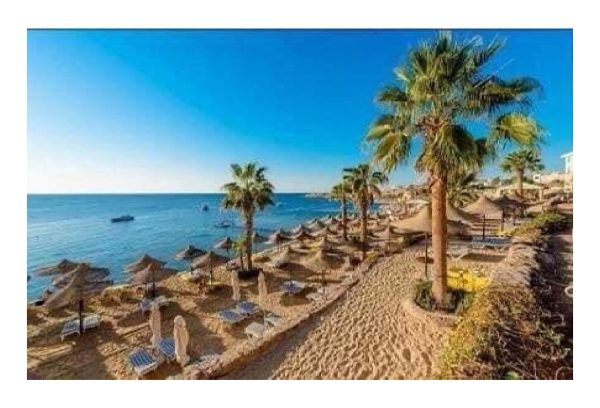 تصميمات_خارجيه_شواطئ_ومنازل_من_التمر_حنه-page-011