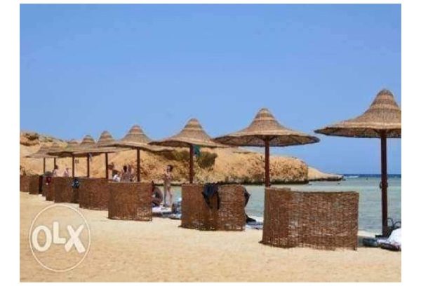 تصميمات_خارجيه_شواطئ_ومنازل_من_التمر_حنه-page-021