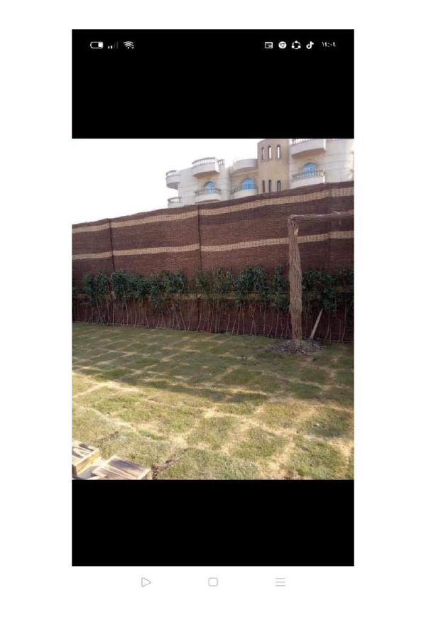 تصميمات_خارجيه_شواطئ_ومنازل_من_التمر_حنه-page-024