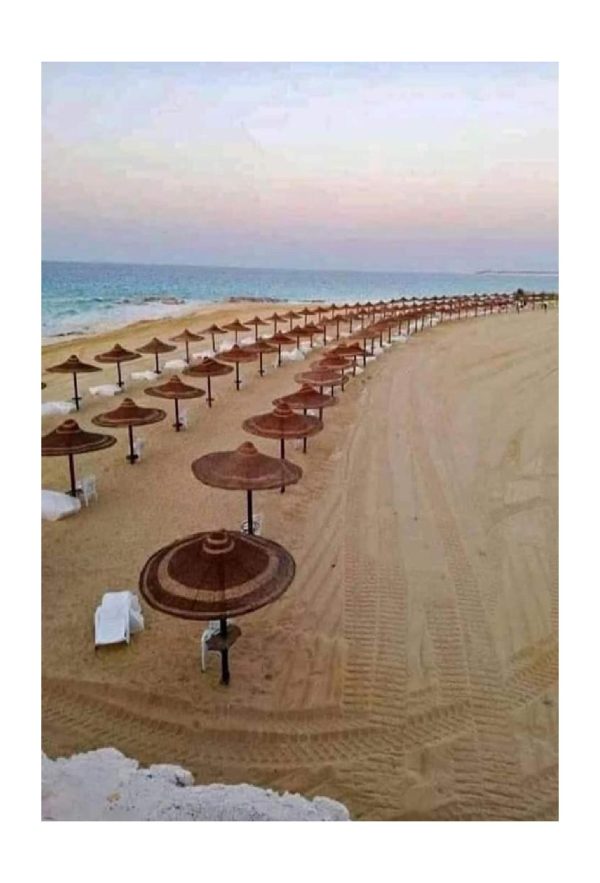 تصميمات_خارجيه_شواطئ_ومنازل_من_التمر_حنه-page-045