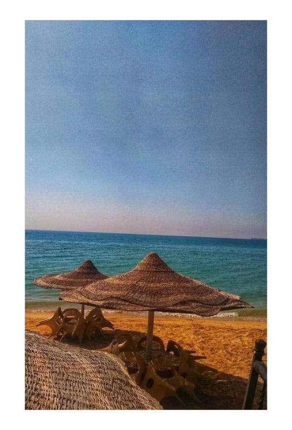 تصميمات_خارجيه_شواطئ_ومنازل_من_التمر_حنه-page-049